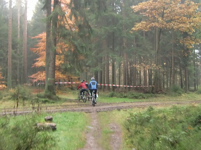 Wilseder Berg 1 2010 057